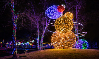 Ithaca NY Taxi and car Service holiday lights tour transportation for families and visitors