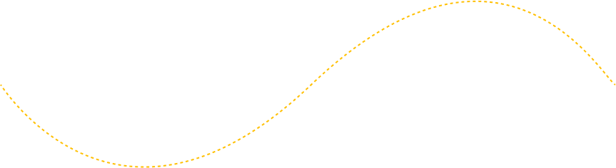Decorative line connecting Ithaca NY Taxi Service booking steps